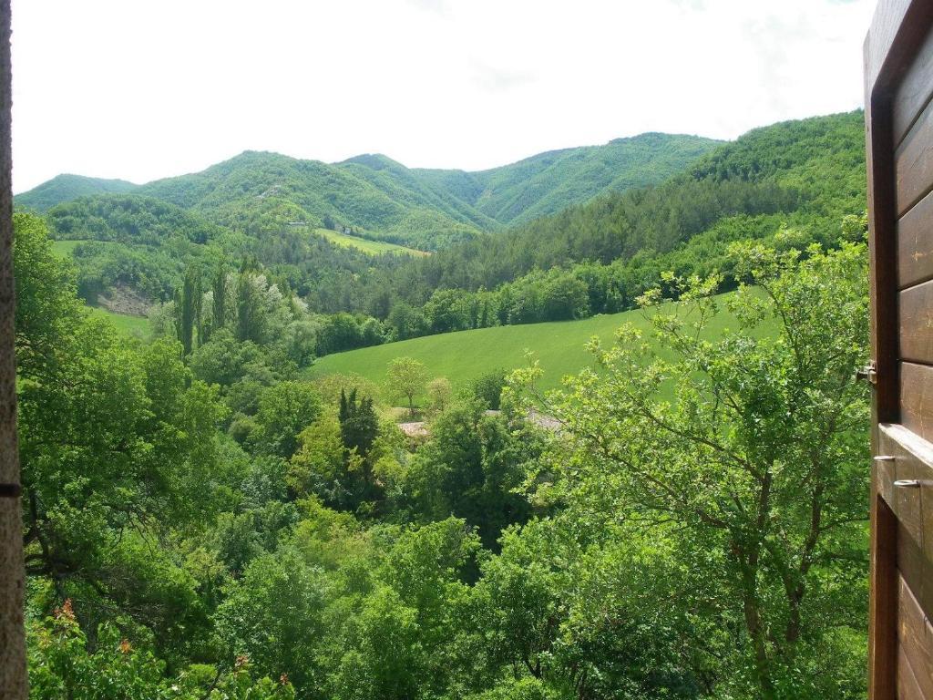 Agriturismo Orsaiola Urbania Oda fotoğraf