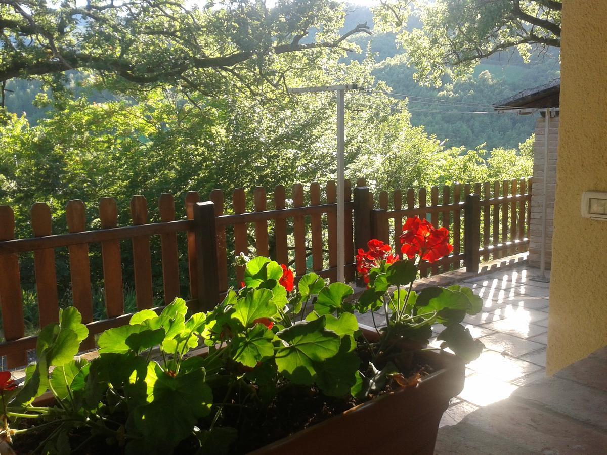 Agriturismo Orsaiola Urbania Dış mekan fotoğraf