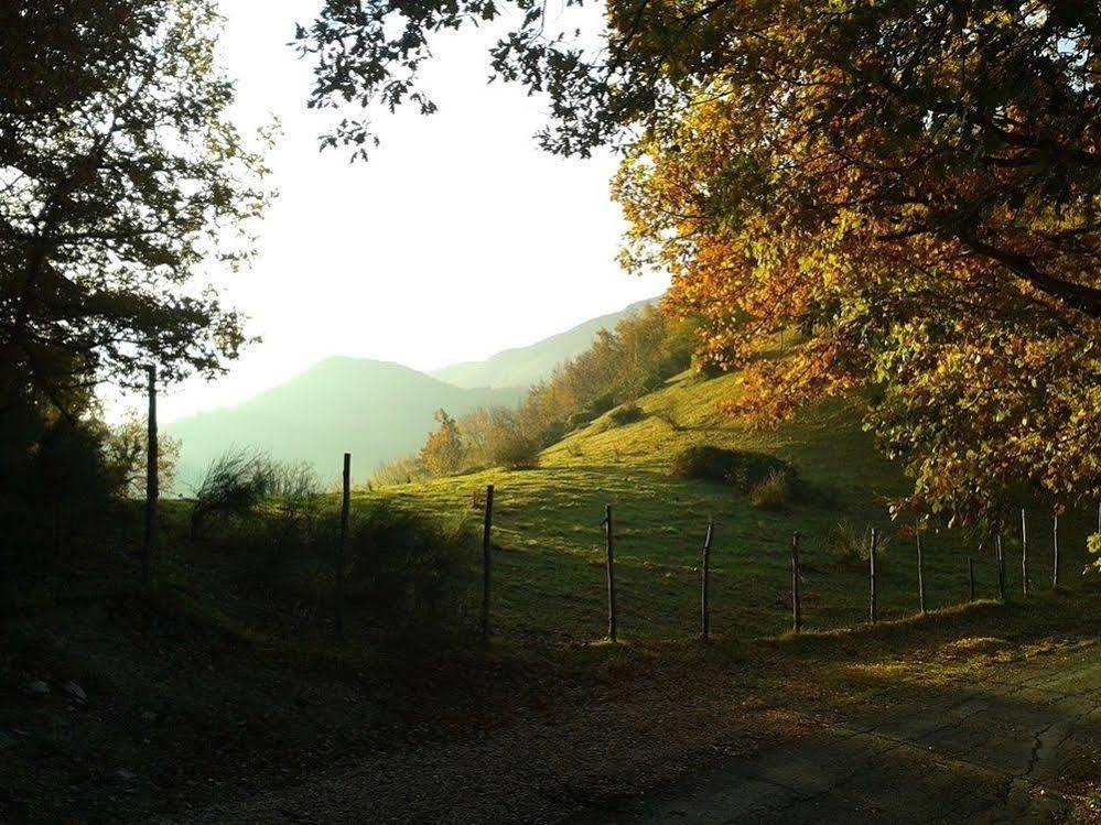 Agriturismo Orsaiola Urbania Dış mekan fotoğraf